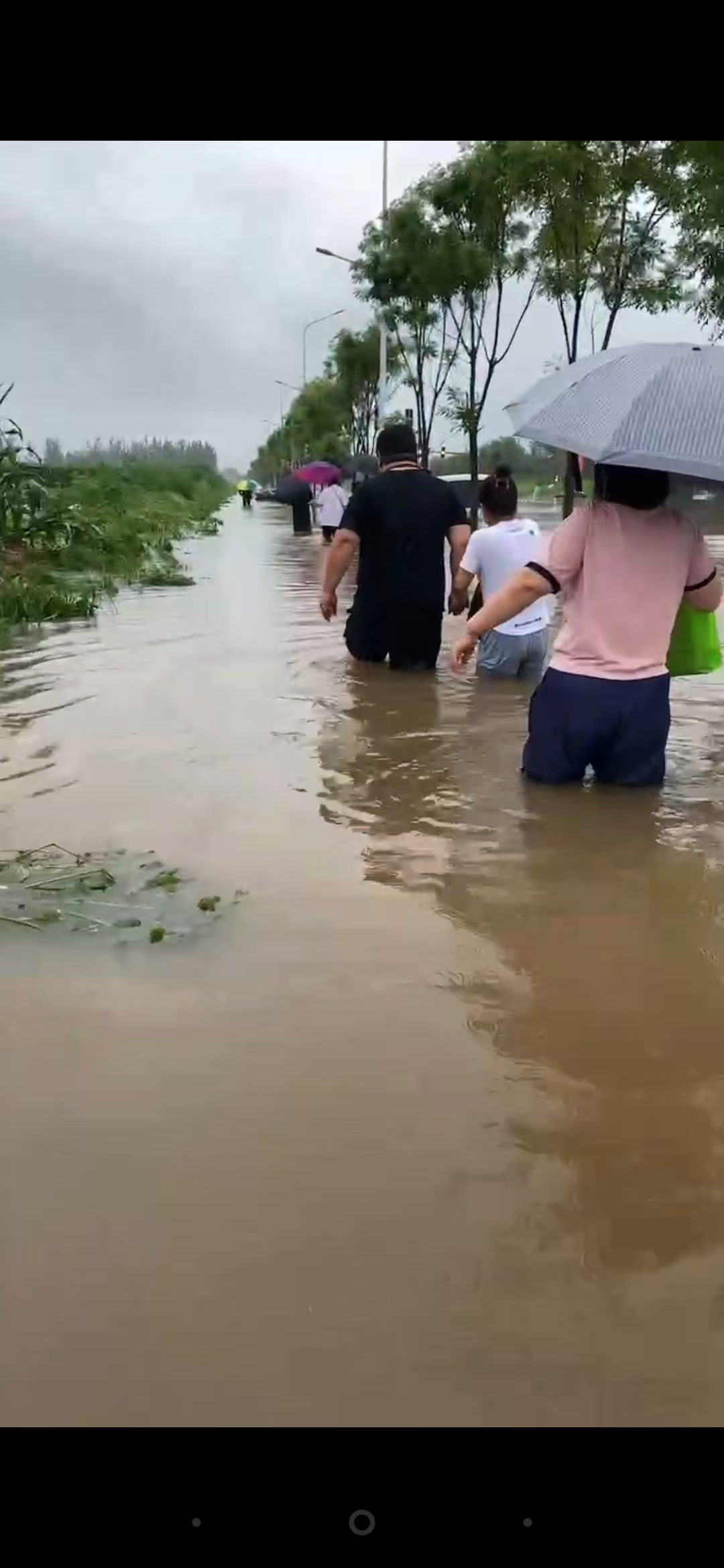 风雨前行，无惧无悔——沈阳大区汛期一线工作记实